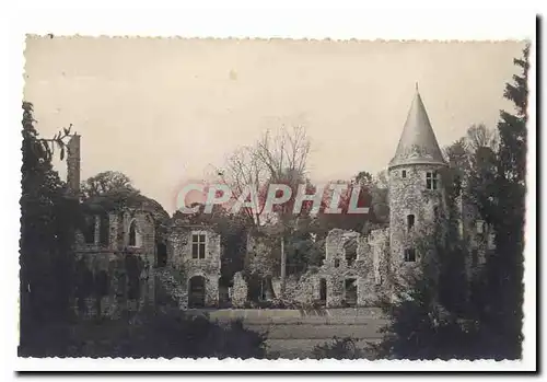 Chaumes en Brie Cartes postales Les ruines de Vivier (Charles VI)