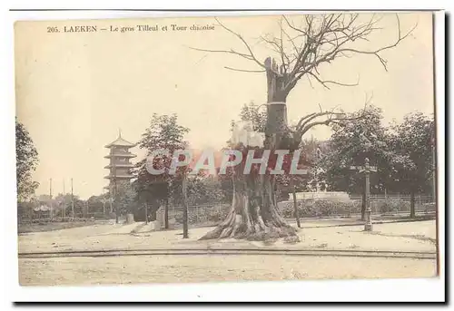 Laeken Ansichtskarte AK LE gros Tilleul et Tour chinoise (arbre tree)