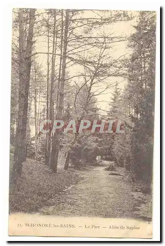 St Honore les Bains Ansichtskarte AK Le parc Allee de sapins