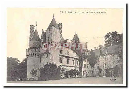 Usse Ansichtskarte AK Le chateau aile gauche