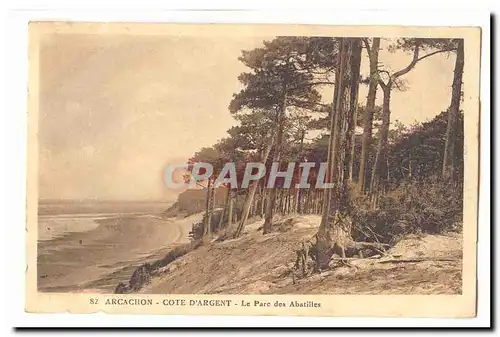 Arcachon Cartes postales Cote d'argent Le parc des Abatilles