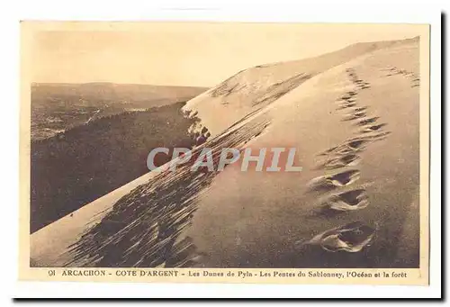 Arcachon Ansichtskarte AK cote d&#39argent Les dunes de Pyla Les pentes du Sablonney l&#39ocean et la foret