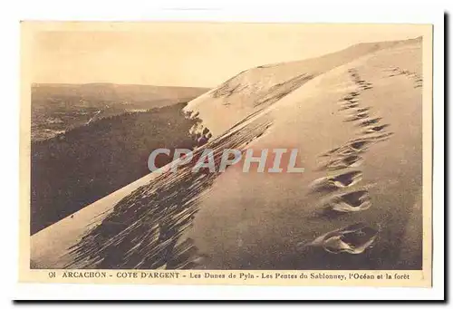 Arcachon Cartes postales cote d'argent Les dunes de Pyla Les pentes du Sablonney l'ocean et la foret