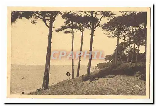 Le Moulleau Cartes postales Parc des Abatilles