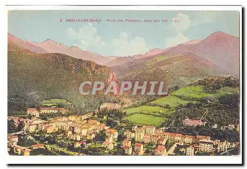 Amelie les Bains Cartes postales Perle des Pyrenees dans son nid