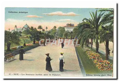 Nice Cartes postales Les nouveaus jardins Allee de palmiers