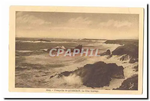 Quiberon Ansichtskarte AK Presqu&#39ile La cote sauvage