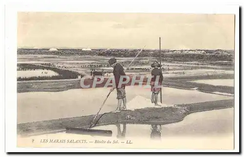 Les marais salants Ansichtskarte AK La recolte de sel