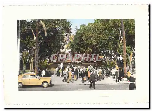 Algerie Alger Cartes postales Le square Bresson