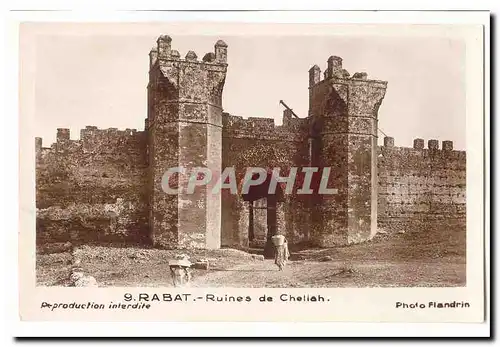 Maroc Rabat Cartes postales Ruines de Chellah