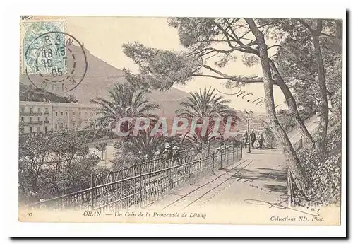 Algerie Oran Cartes postales Un coin de la promenade de Letang