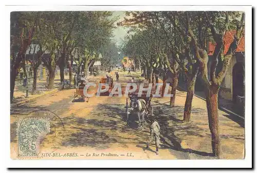 Algerie Sidi Bel Abbes Cartes postales La rue Prudhom (tres animee voitures)