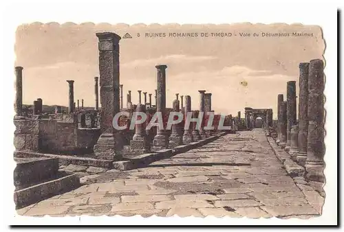 Algerie Ansichtskarte AK Ruines romaines de Timgad Voie du decumanus Maximus