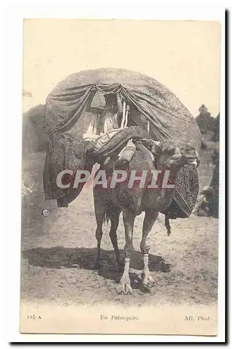 Algerie Maroc Ansichtskarte AK un palanquin (chameau dromadaire camel)