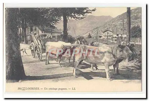 Lourdes Cartes postales Un attelage paysan (boeufs) TOP