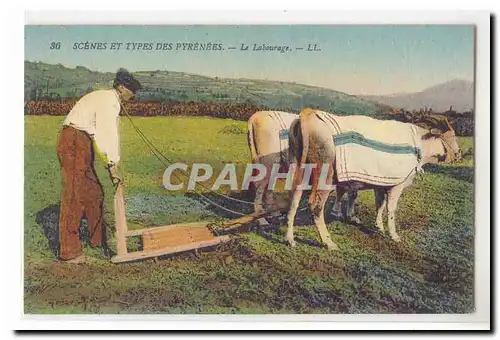 Scenes et types des Pyrenees Cartes postales Le labourage (boeufs) TOP
