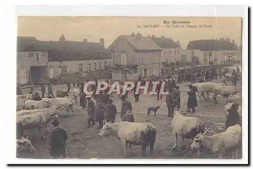 En Morvan Saulieu Ansichtskarte AK Un coin du champ de foire (marche aux bestiaux vaches boeufs)