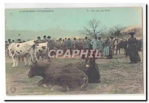 L&#39Auvergne pittoresque Cartes postales Un coin de foire TOP (boeufs vaches)