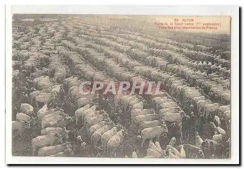 Autun Cartes postales Foire de la Saint LAdre (1er septembre) l&#39une des plus importantes de France (bovins)