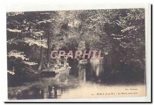 Esbly Cartes postales Le Morin sous bois