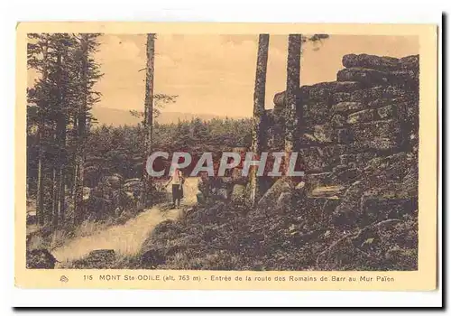 Mont Ste Odile (alt 763m) Cartes postales entree de la route des Romains de Barr au Mur paien Randonneuse