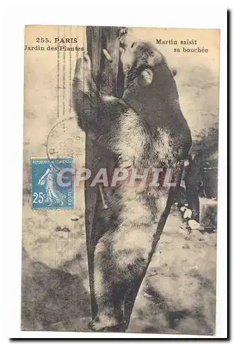 Paris (5eme) Cartes postales Martin saisit s bouchee au Jardin des plantes (OURS BeAr) TOP