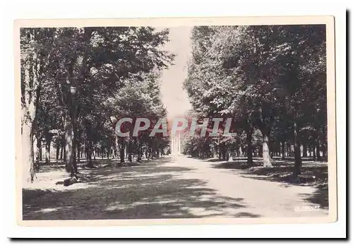 Montauban Cartes postales Cours Foucault