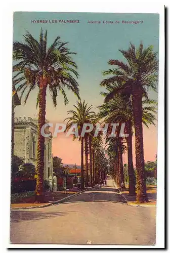 Hyeres les palmiers Ansichtskarte AK Avenue Costa de Beauregard