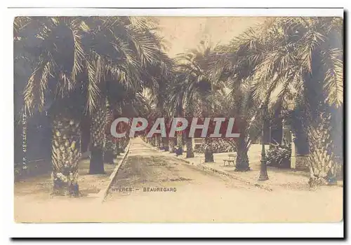 Hyeres Cartes postales Beauregard (palmiers)