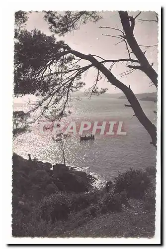 Corniche des Maures Cartes postales moderne Environs du Lavandou