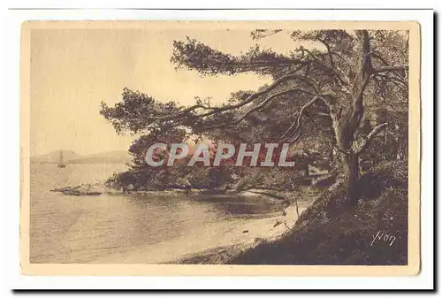 Les iles d&#39Hyeres Cartes postales Porquerolles La plage d&#39argent