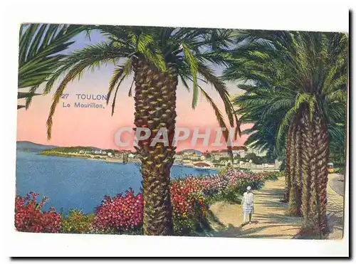 Toulon Cartes postales Le Mourillon (palmiers)