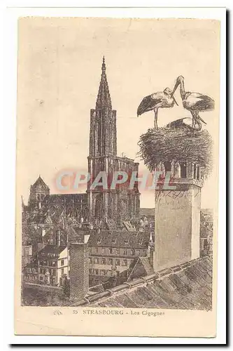 Strasbourg Cartes postales Les cigognes