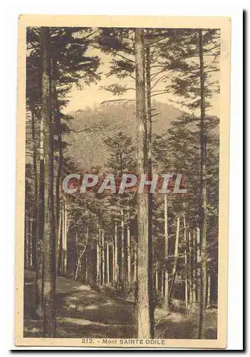 Cartes postales Mont Sainte Odile