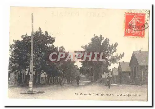 Ansichtskarte AK Camp de Coetquidan L&#39allee des sapins (militaires)