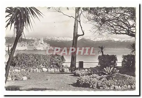 Antibes Cartes postales La vieille ville au fond les Alpes neigeuses