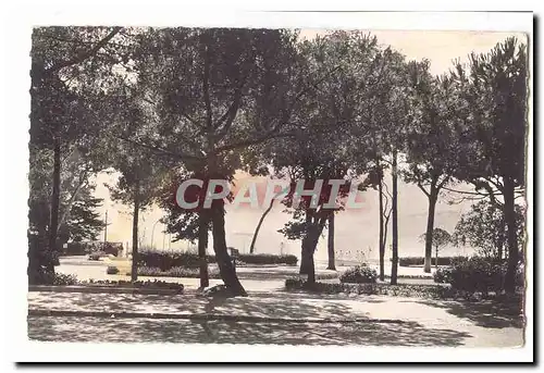 Juan les Pins Cartes postales moderne La pinede