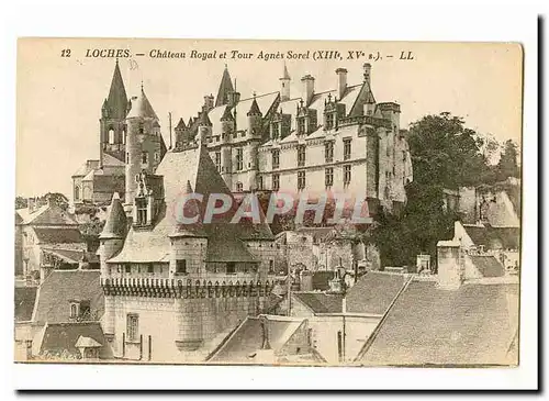 Loches Cartes postales Chateau royal et Tour agnes Sorel (13eme)