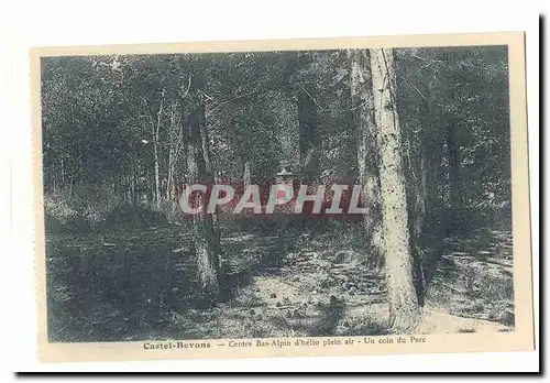 Castel Bevons Ansichtskarte AK Centre bas alpin d&#39heloi plein air Un coin du parc