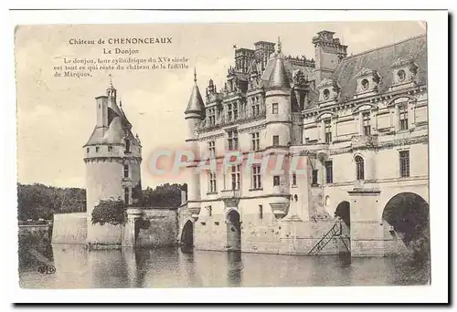 Chateau de Chenonceaux Ansichtskarte AK Le donjon