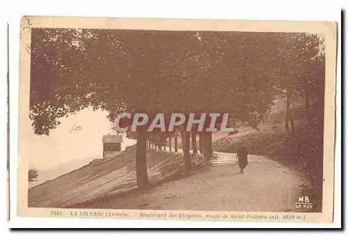 La Louvesc Cartes postales Boulevard des Elegants route de Saint Felicien (alt 1050m)