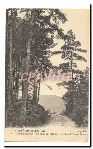 Le Louvesc Ansichtskarte AK Un coin du bois sur la route de Saint Bonnet