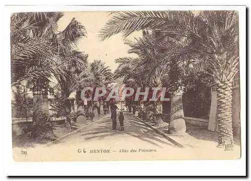 Menton Cartes postales Allee des palmiers