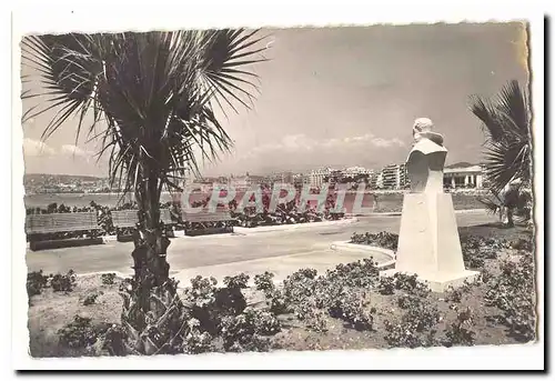 Cannes Cartes postales Vue generale des nouveaux jardins