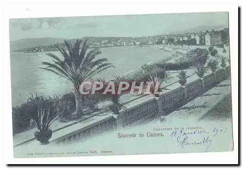 Cannes Cartes postales Panorama de la croisette