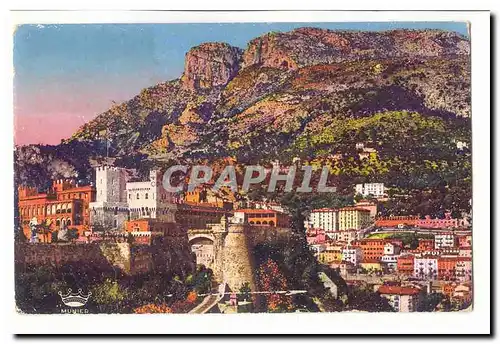 Monaco Cartes postales Le palais de France et le Tete de Chien