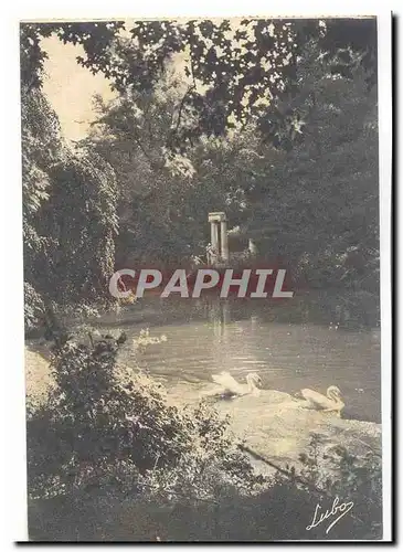 Metz Cartes postales Les cygnes de l&#39esplanade (swan)