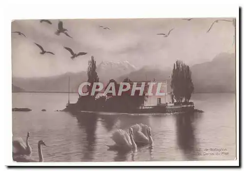 Suisse Cartes postales ile de Salagnon et dents du midi (cygnes swan)