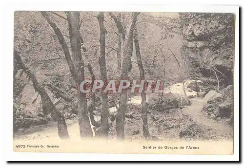 Suisse Ansichtskarte AK Sentier de Gorges de l&#39areus