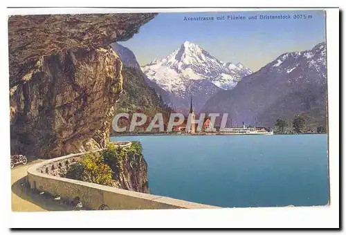 Suisse Cartes postales Axenstrasse mit Fluelen und Bristestock